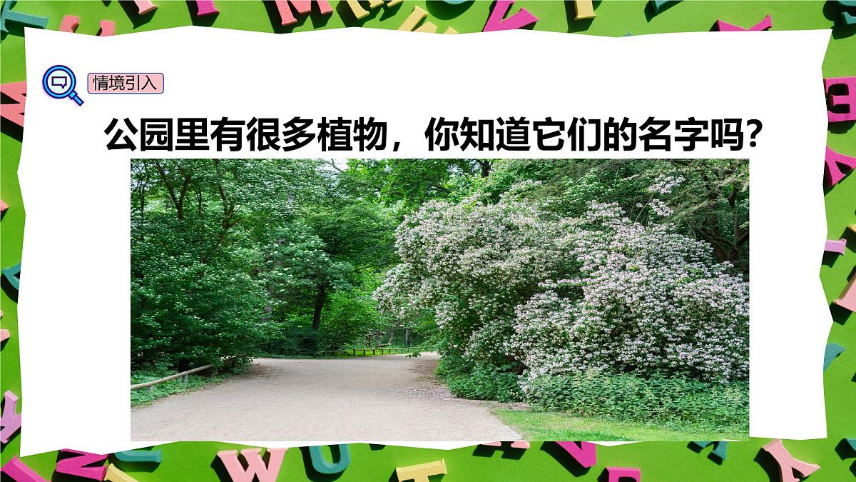 人教版三年级上册英语10《常见的植物》PPT课件第4页