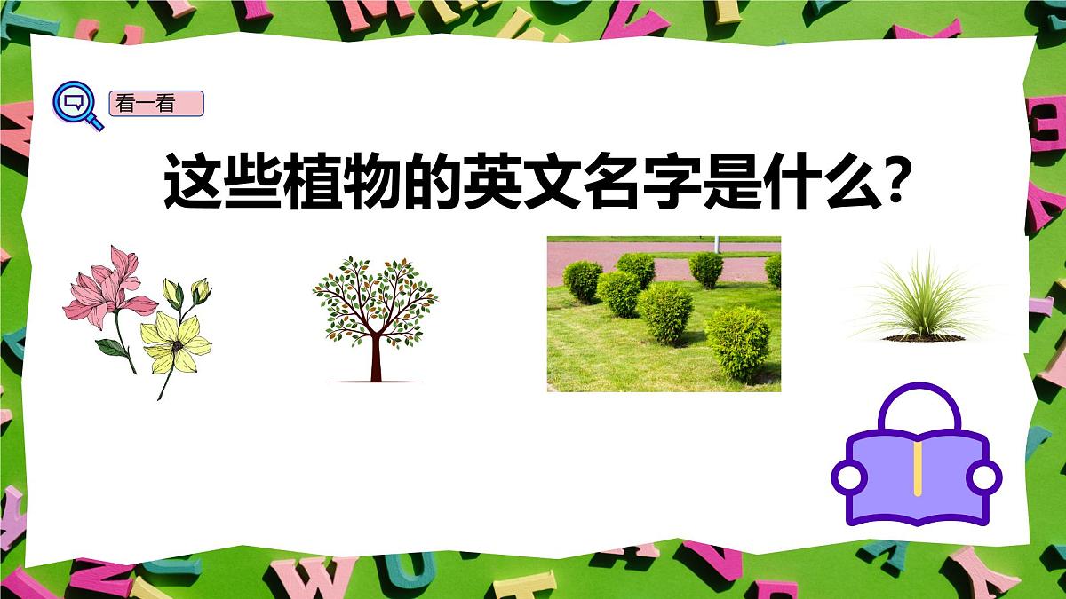 人教版三年级上册英语10《常见的植物》PPT课件第5页