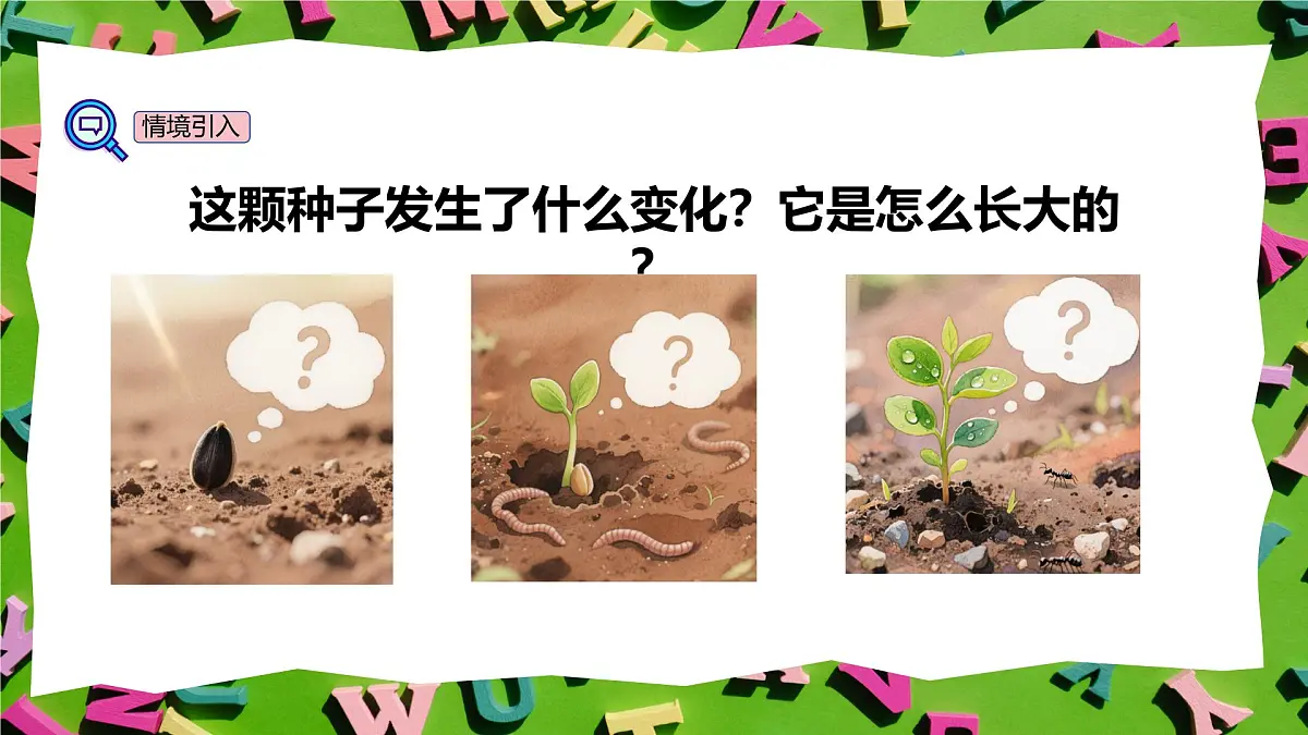 人教版三年级上册英语11《植物的生长》PPT课件第4页