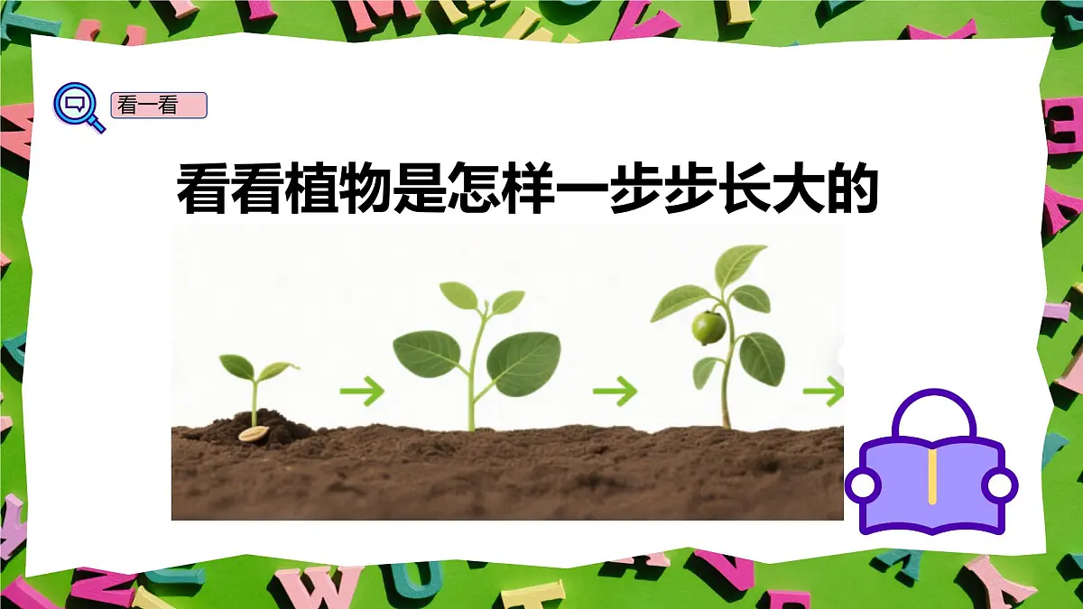人教版三年级上册英语11《植物的生长》PPT课件第5页