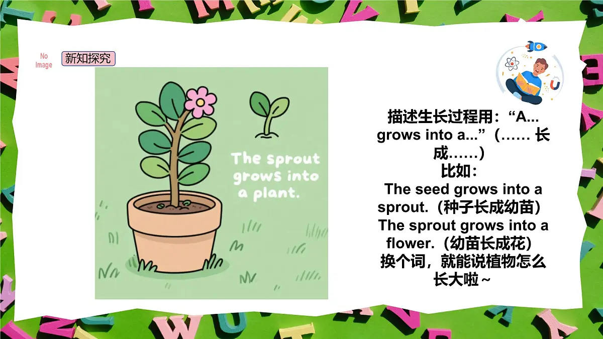 人教版三年级上册英语11《植物的生长》PPT课件第7页