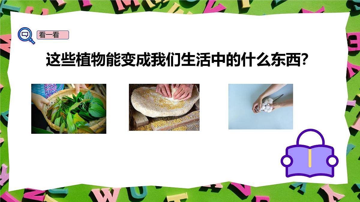 人教版三年级上册英语12《植物与我们的生活》PPT课件第5页