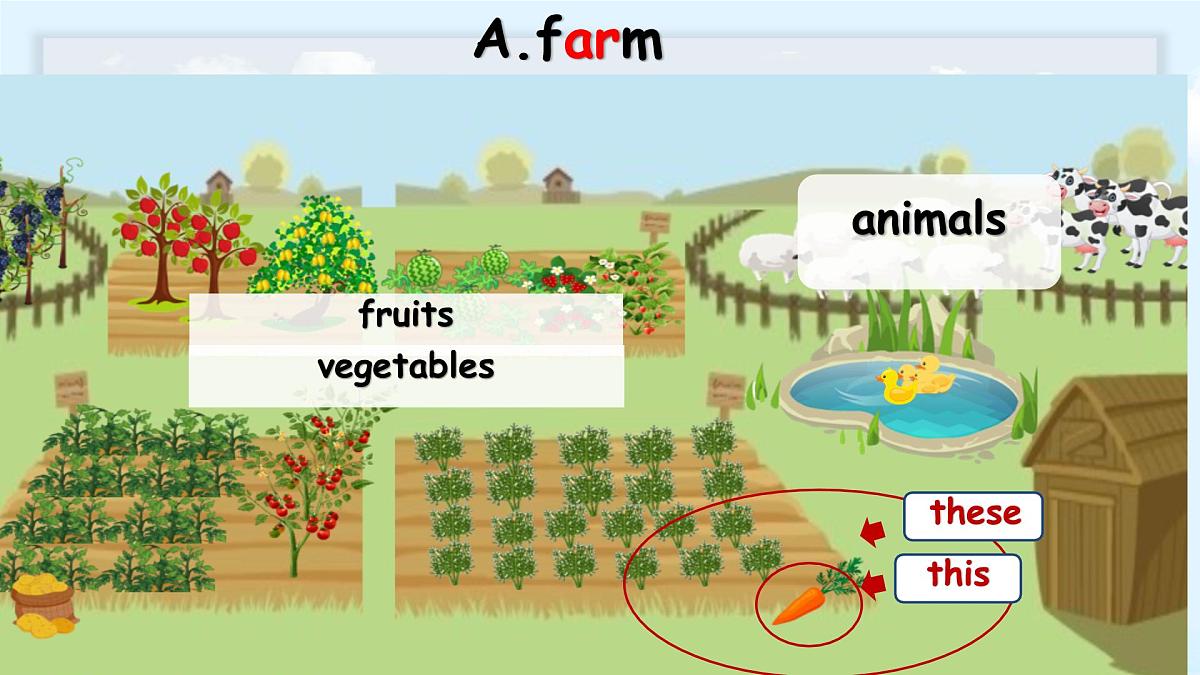 Unit 4 At the farm-A let's talk（课件）-2024-2025学年人教PEP版英语四年级下册第4页