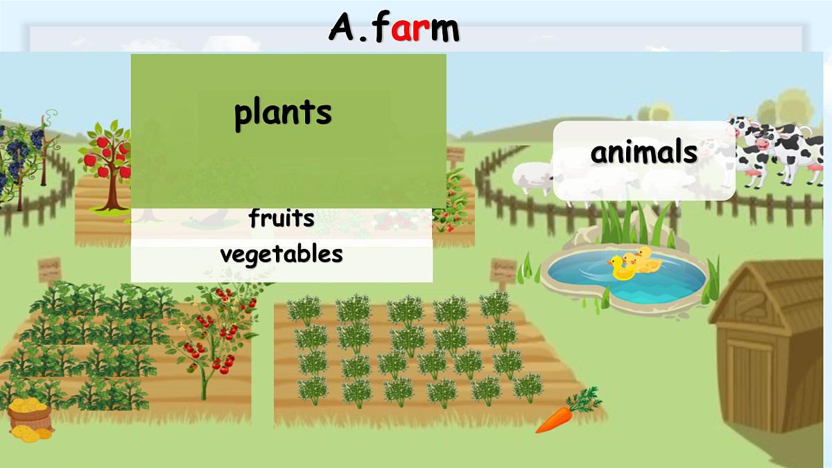 Unit 4 At the farm-A let's talk（课件）-2024-2025学年人教PEP版英语四年级下册第5页