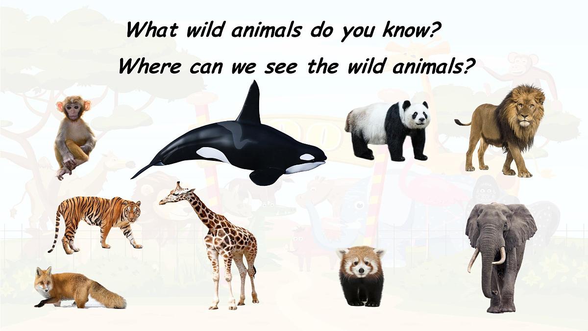 人教版PEP三年级上册英语课件《Unit 3 Amazing animals》Part B第3页