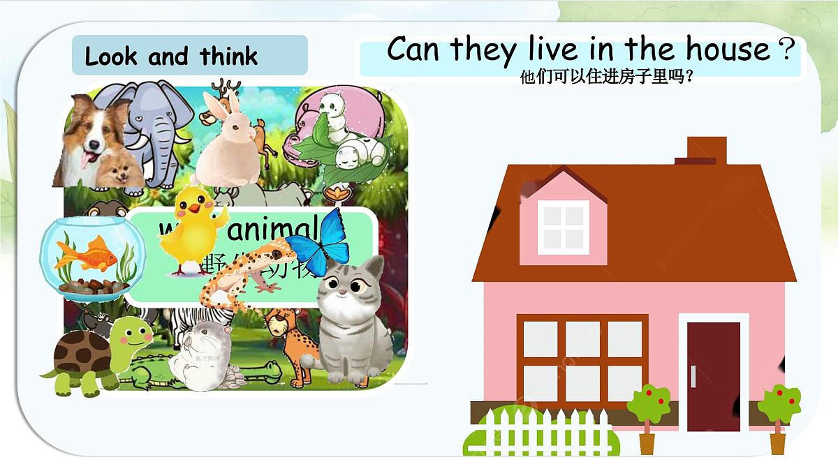 人教版PEP三年级上册英语课件《Unit 3 Amazing animals》Part A第3页
