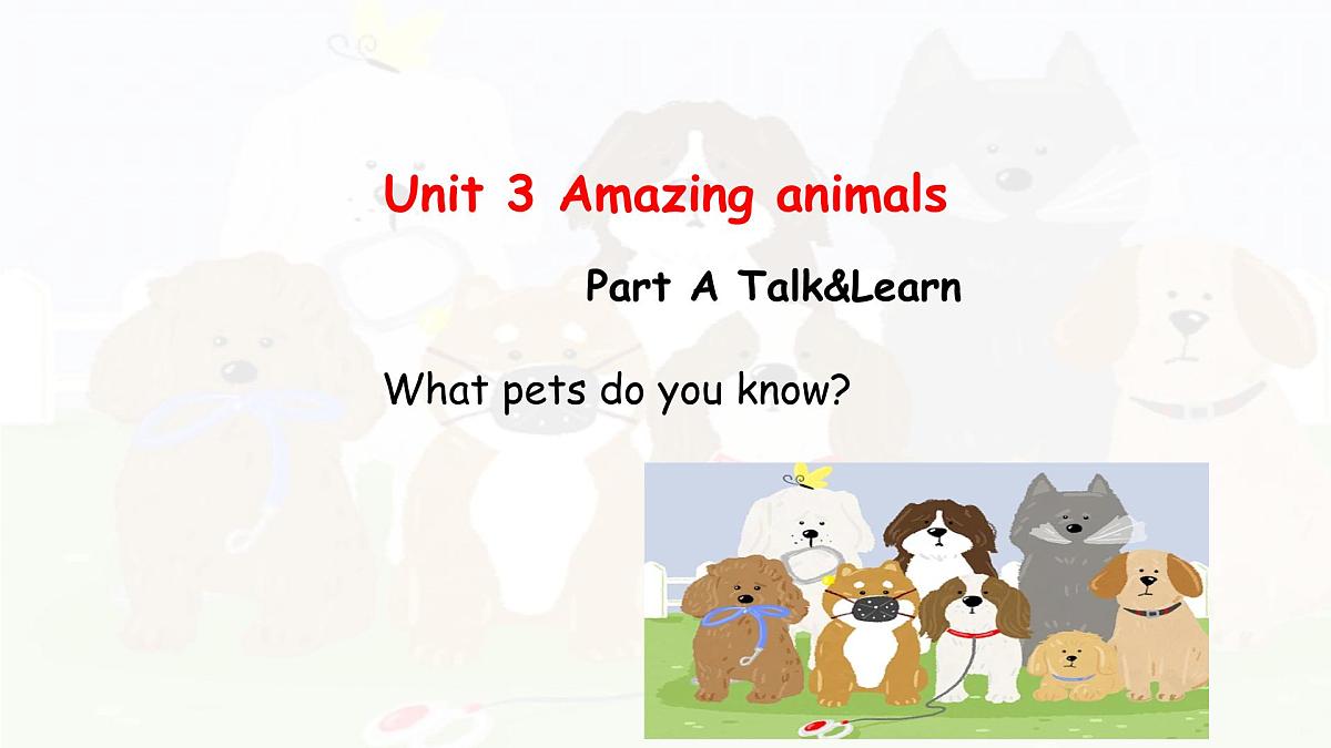 人教版PEP三年级上册英语课件《Unit 3 Amazing animals Part A 》第1页