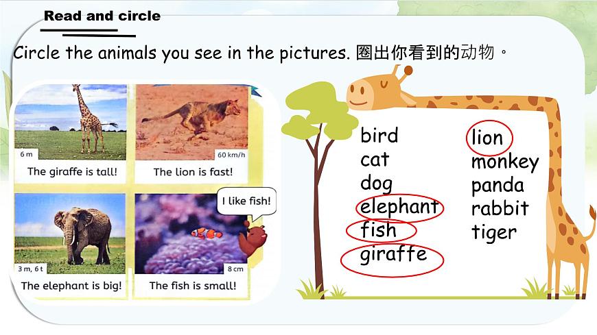 人教版PEP三年级上册英语课件《Unit 3 Amazing animals》Part C第8页