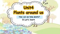 人教版PEP（2024）三年级上册（2024）Unit 4 Plants around us Part B课文ppt课件
