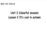 鲁科版 (五四制)2024英语四年级上册 Unit 3 Colourful seasons Lesson 2（课件+音频视频）