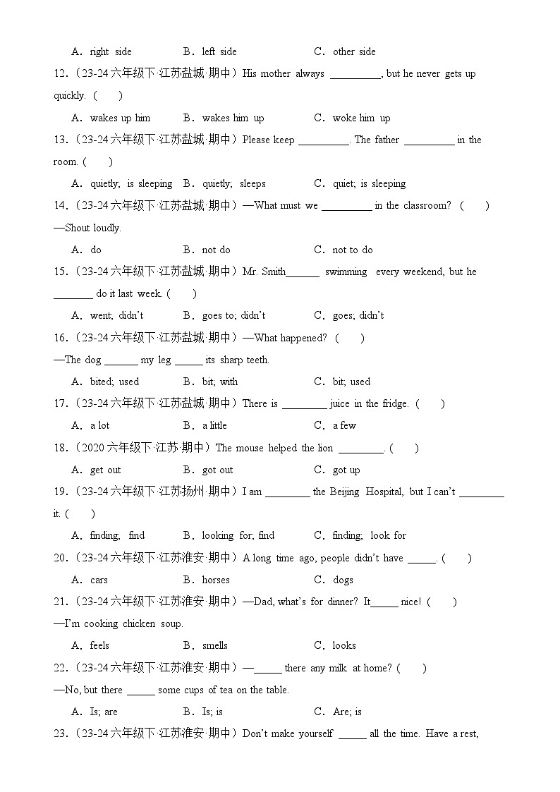 专题03 单选题-2024-2025学年六年级英语下学期期中复习讲练测 (译林版三起）-A4第2页
