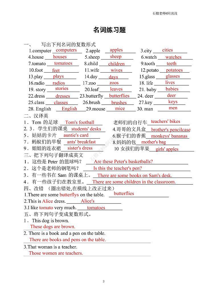 小升初英语语法点(习题 答案）全国通用（PDF版）第2页