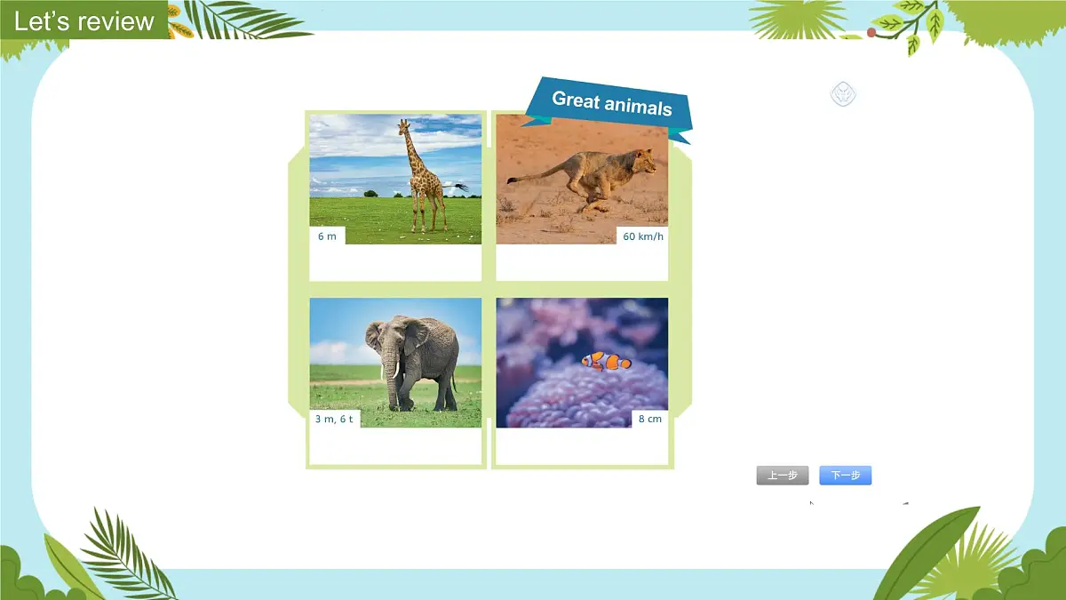 Unit3 Our animal friends Part C Project& Reading time（第7课时）课件第5页