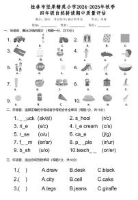 广西桂林市象山区坚果精英小学2024-2025学年四年级上学期自然拼读期中英语质量评估试卷