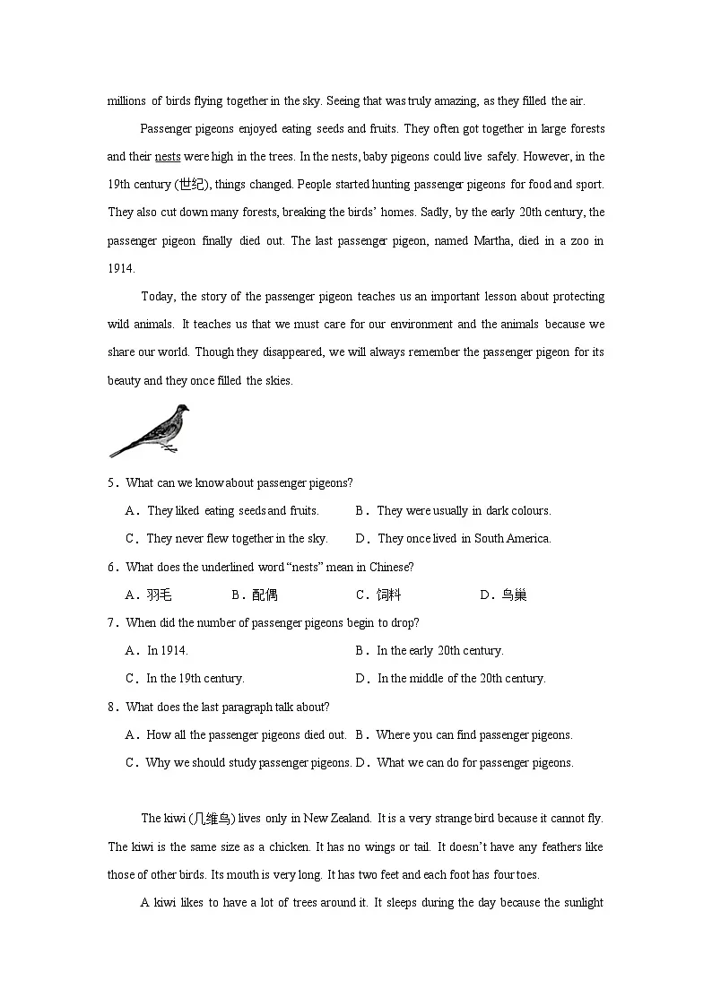 【期末】专题11 阅读理解-鲁教版（五四制）小学英语六下-期末复习考点培优专项卷（含解析）第2页