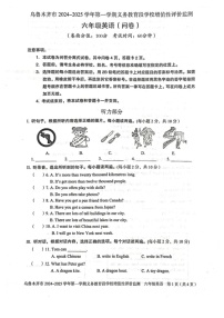新疆维吾尔自治区乌鲁木齐市2024-2025学年六年级上学期期末英语试题