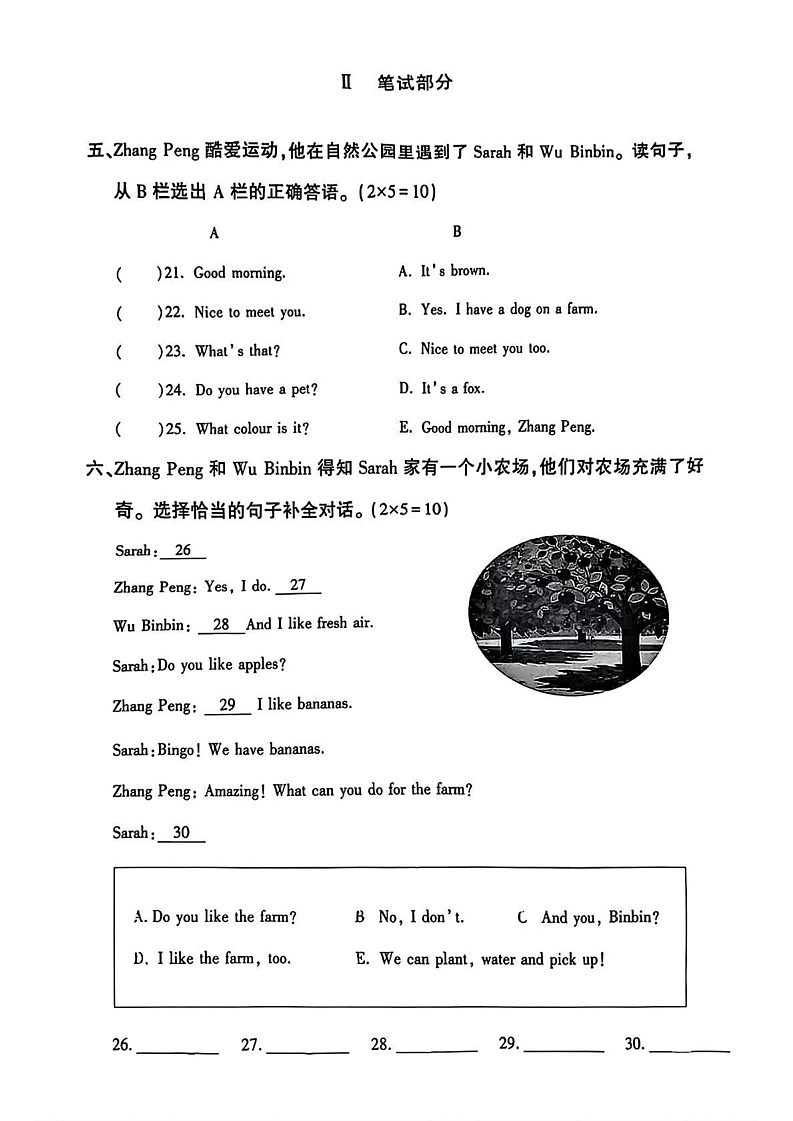 内蒙古呼和浩特市新城区2024-2025学年三年级上学期期末英语试题第2页