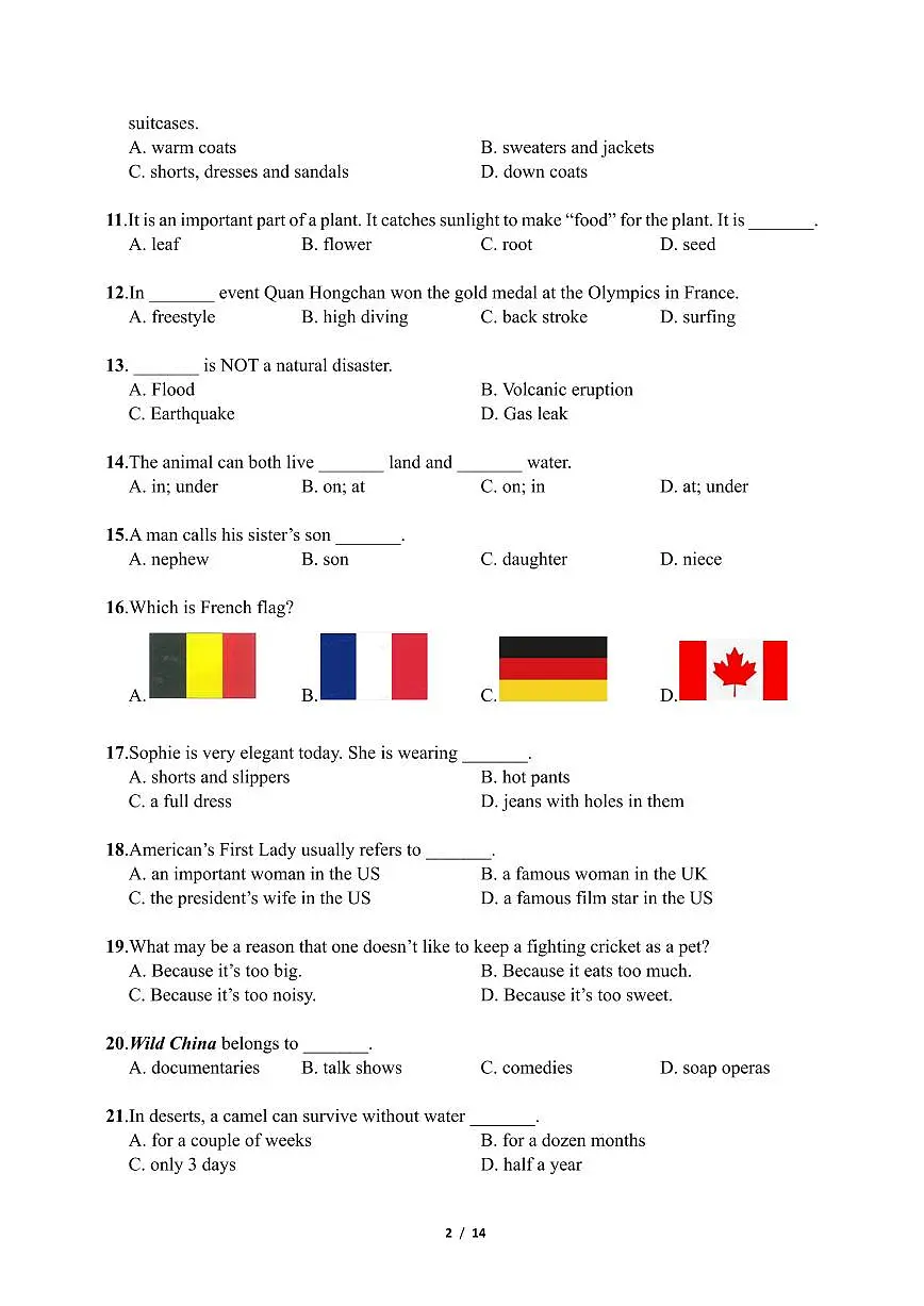 广东省深圳市2024年第五届超常思维与创新能力测评英语4年级试题+答案第2页