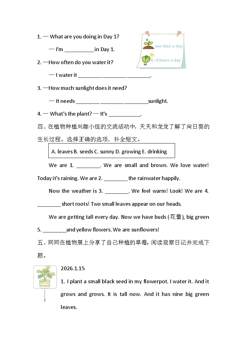 Unit 4 Plant life 课时练习4 Hit it big（含答案）-外研版英语四下第2页