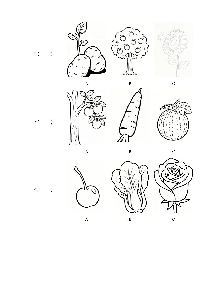 U1 The School Garden （单元自测·提升卷）英语教科版四年级下册（新教材）第3页