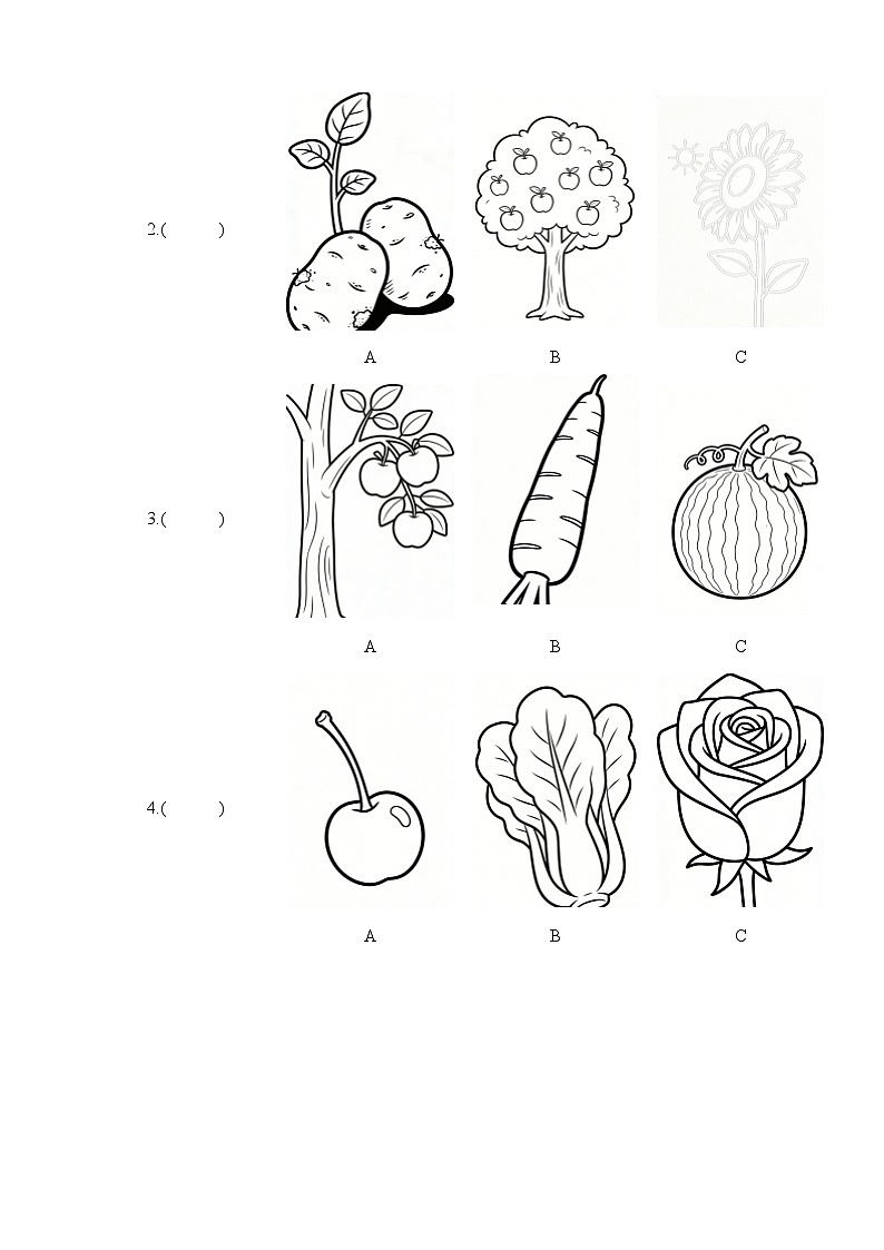 U1 The School Garden  （单元自测·提升卷）英语教科版四年级下册（新教材）第3页
