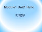 Module 1《Unit 1 Hello》课件3
