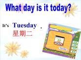 《what day is it today》ppt课件