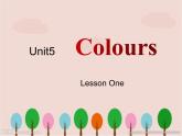 Unit 5 Colours Lesson 1 课件