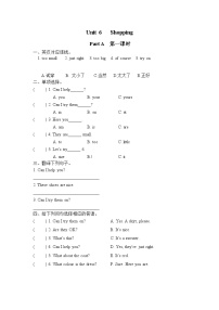 小学Unit 6 Shopping Part A第一课时课时作业