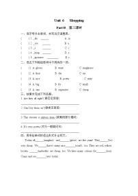 小学英语人教版 (PEP)四年级下册Unit 6 Shopping Part B第三课时复习练习题