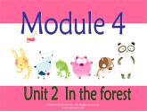 牛津深圳版英語(yǔ)二上《Unit 11 In the forest》課件