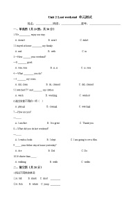 人教版 (PEP)六年级下册Unit 2 Last weekend综合与测试精品单元测试练习