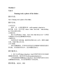 外研版 (三年级起点)五年级上册Unit 2 Daming took a photo of his father.免费教案及反思