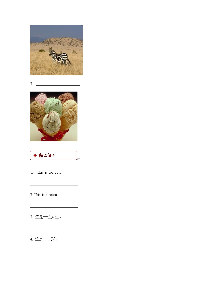 Unit 2_Lesson 12_Letters W_Z_同步练习02