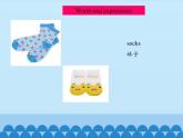 四年級上冊英語課件－Unit5 I like those shoes.(Lesson29) ｜人教精通版.