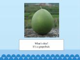 五年级上册英语课件－Unit6 It’s a grapefruit.(Lesson31) ｜人教精通版