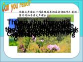 江苏省译林英语4B第4单元Period 2 课件