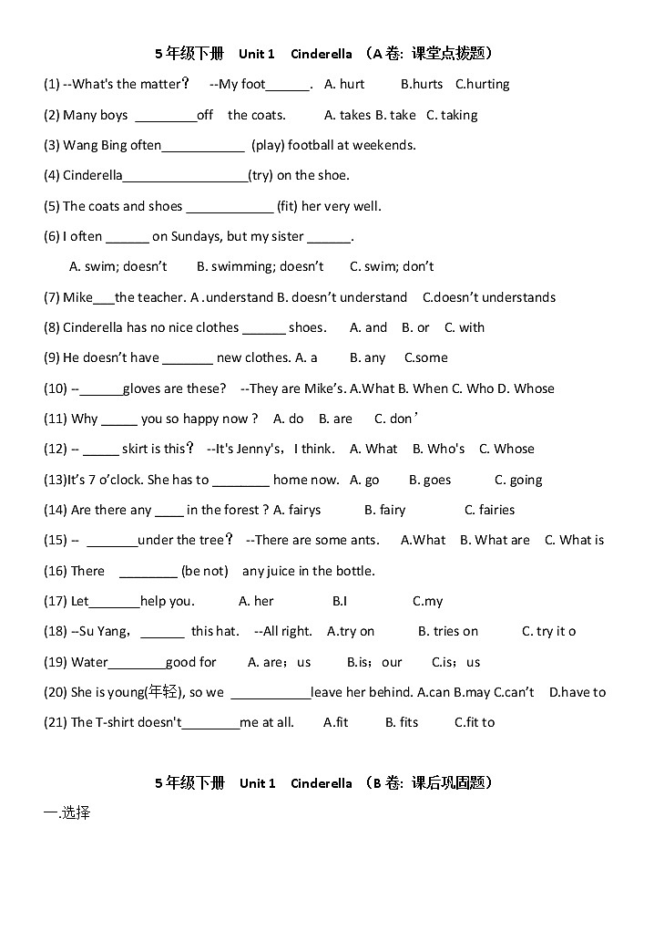 译林英语5下5B U1-U4考点精练第1页