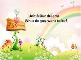 Unit 8 Our dreams-Talk about your dreams of jobs 课件