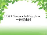 Unit 7 Summer holiday plans-一般现在时 课件