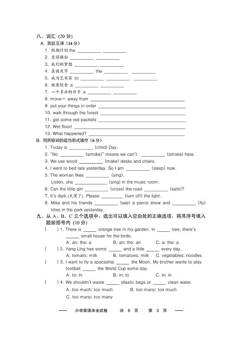 译林英语6B小升初测试卷03
