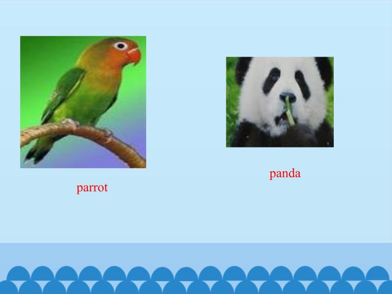 三年级下册英语课件－Unit5 It’s a parrot.(Lesson27) ｜人教精通版05