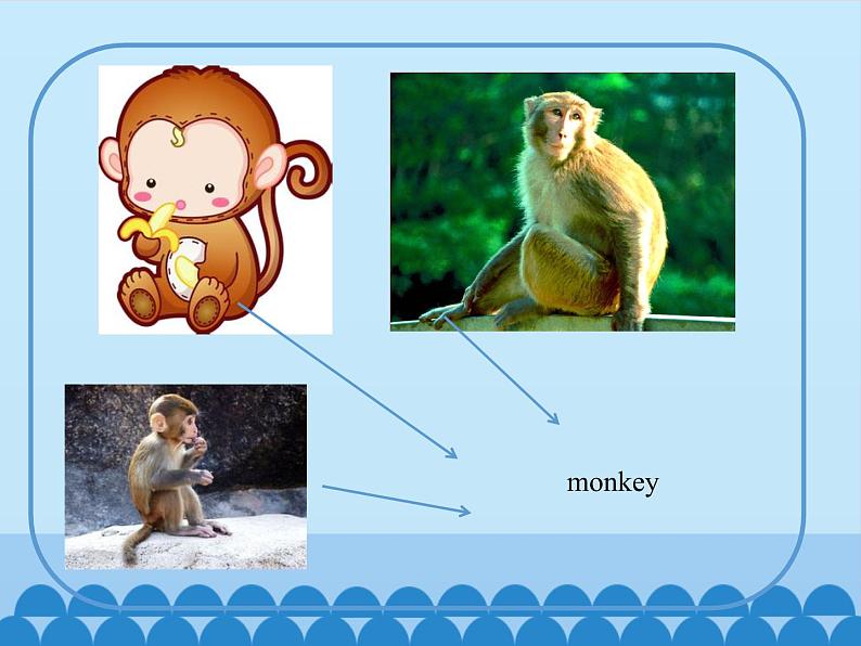 三年级下册英语课件-Module 2 Unit 4  Animals in the zoo  Period 1  沪教牛津版（深圳用）06