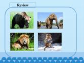 三年級下冊英語課件-Module 2 Unit 4  Animals in the zoo  Period 2  滬教牛津版（深圳用）