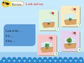 四年級下冊英語課件-Module 4 Unit 10  My garden  Period 3  滬教牛津版（深圳用）