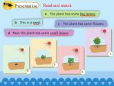 四年級下冊英語課件-Module 4 Unit 10  My garden  Period 3  滬教牛津版（深圳用）