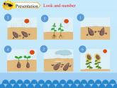 四年级下册英语课件-Module 4 Unit 10  My garden  Period 3  沪教牛津版（深圳用）