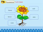 四年級下冊英語課件-Module 4 Unit 10  My garden  Period 1  滬教牛津版（深圳用）