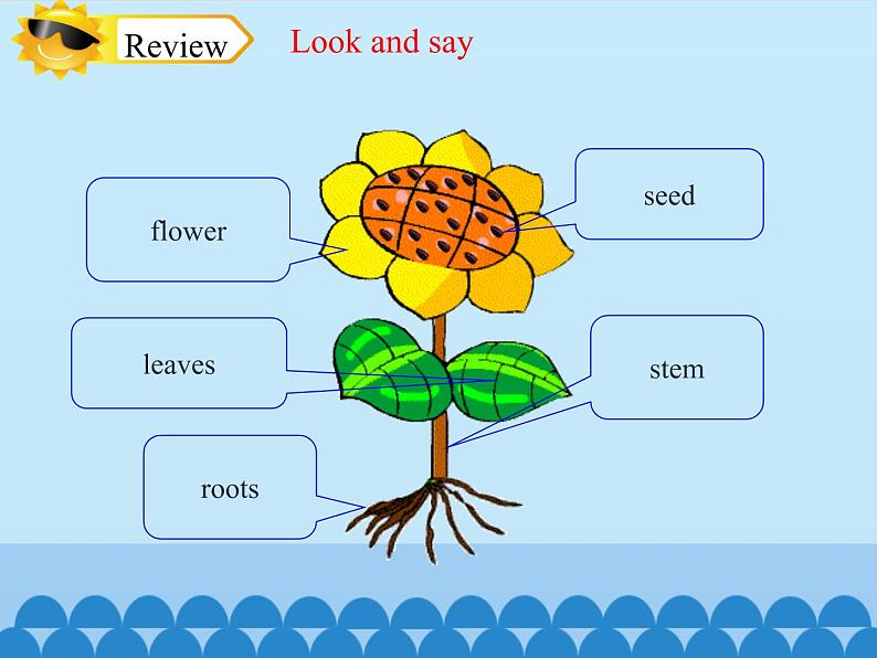 四年级下册英语课件-Module 4 Unit 10  My garden  Period 2  沪教牛津版（深圳用）02