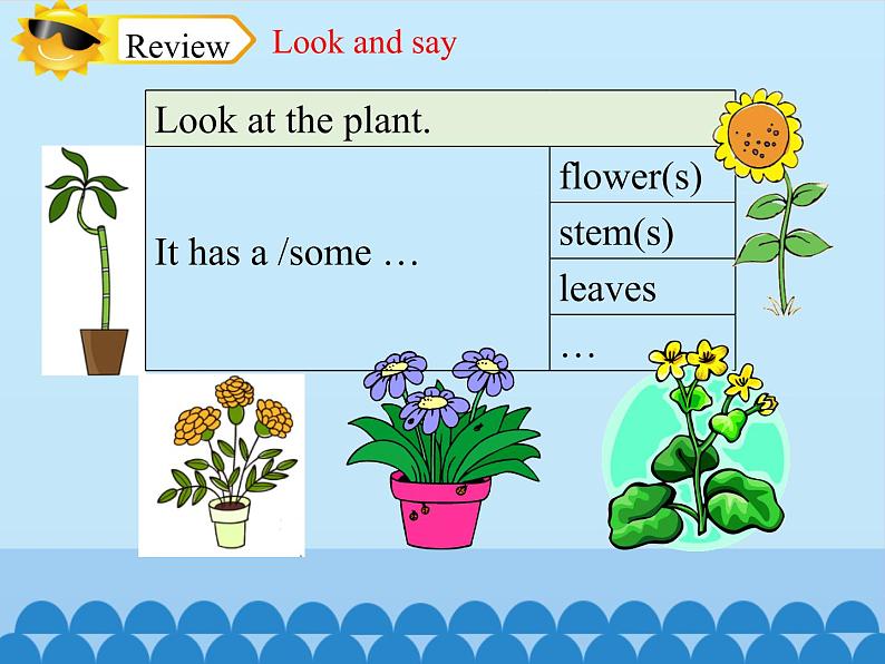 四年级下册英语课件-Module 4 Unit 10  My garden  Period 2  沪教牛津版（深圳用）03